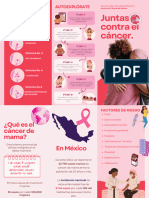 Folleto Información Cáncer de Mama Moderno Rojo y Rosa