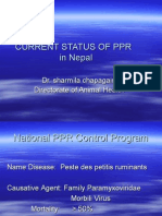 Status of PPR in Nepal 2007