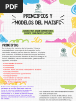 Principios y Modelos Del Maisfc (1) 1