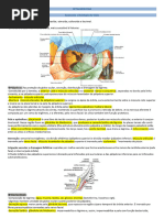 Resumo de Oftalmologia