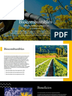 Biocombustibles PPT