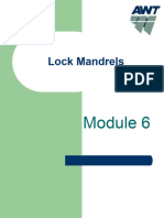 6.0 Lock Mandrels