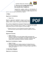 Ficha de Aprendisaje N 03 Und 3 - Org Digestión de Las Macromoléculas Orgánicas