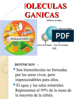 Biomoleculas Inorganicas