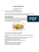 Globais Bio, Quimica, Ingles e Filosofia