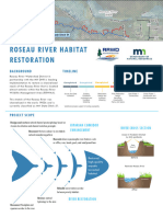 Roseau River Channel Repair