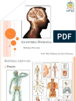 Introducao e Sistema Nervoso Central