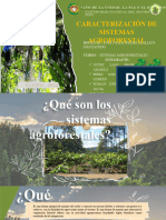 Sistema Agroforestal