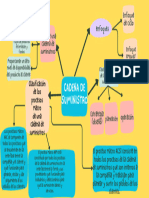 Mapa Mental Cadena de Suministros CGM