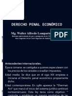 Derecho Penal Economico