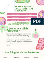 Presentación Proyecto de Biología Ciencia Ilustrativo Verde Rosa - 20240524 - 184905 - 0000