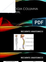 Patologia Col Vertebral