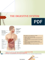 GI System