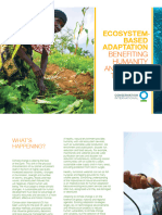 CI EbA Ecosystem Based Adaptation Brochure Benefiting Humanity and Nature Together