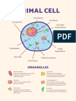 Illustrative Flat Graphic Animal Cell Biology Poster - 20230807 - 214204 - 0000