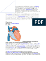 El Corazon