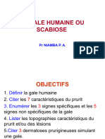 LA GALE HUMAINE PR Niamba 2024