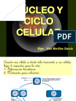 Núcleo y Ciclo Celular