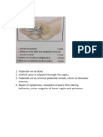 3.abdomen and Thorax - OSPE