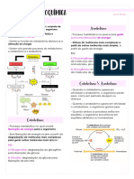 Introdução À Bioquímica