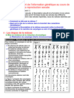 Importance de La Meiose Dans La Formation Des Gametes