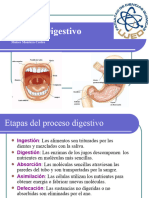 Aparato Digestivo