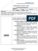 10 Informe Parcial de Seguridad e Higiene DICIEMBRE