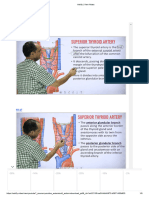 Thyroid 2