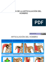 Musculos Del Hombro