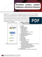 Pluralismo Jurídico, Pueblos Indígenas y Derechos Humanos