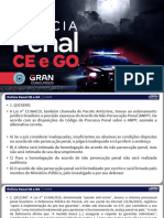 Polícia Penal CE - Polícia Penal GO - Luaula - Geilza Diniz