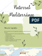 Matorral Mediterráneo