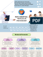 Mapa Conceptual de Niveles de Prevención Con Ejemplos