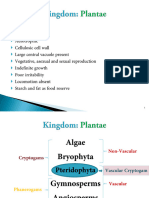 Plantae Spirogyra