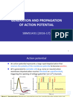 5-Generation and Propagation of Action Potential (2016-17) (Amended)