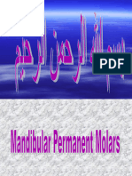 Mandibular Permanent Molars