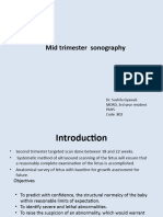 Midtrimester Scan .Finale