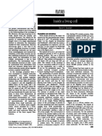 (Trends in Biochemical Sciences 1991-Jan Vol. 16) Goodsell, David S. - Inside A Living Cell (1991) (10.1016 - 0968-0004 (91) 90083-8) - Libgen - Li