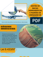 Gestao Das Bacias Hidrograficas No Brasil - PPTX 20240608 031700 0000