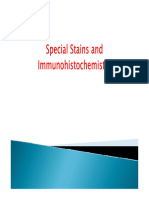 17.1 Special Stains and Immuno