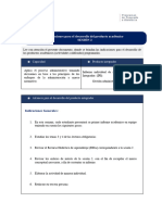 Indicaciones Producto Académico S2