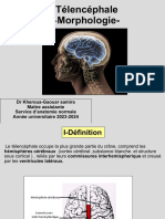 9) Telencephale