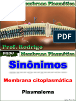 Membrana Plasmática