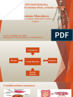 Lesiones Musculares