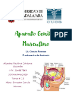 Tarea 15