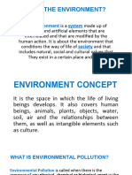 Environment Monograph