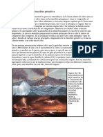 Biología 1-La Atmosfera Primitiva (José)