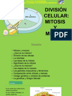 División Celular Mitosis y Meiosis