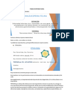 Panleucopenia Felina