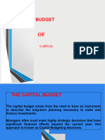 Capital Budget